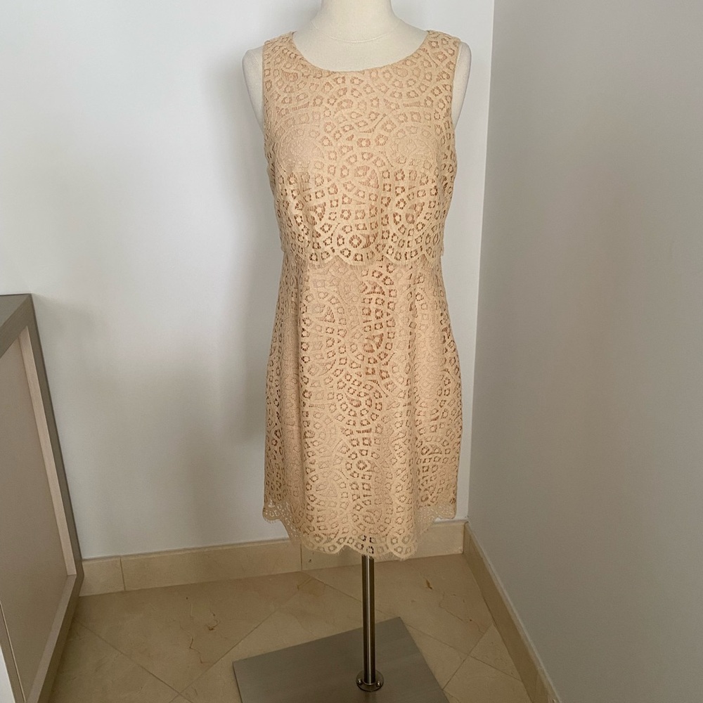 J. Crew Beige Lace Dress